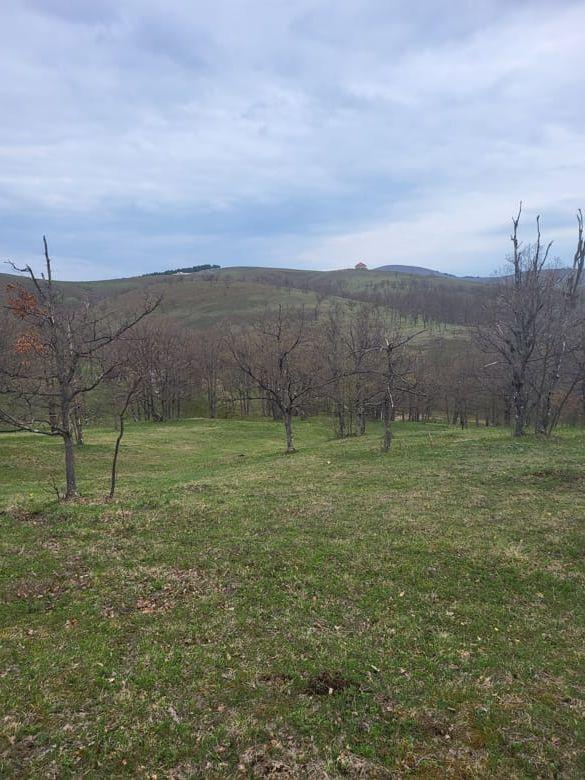 Квартира, 5921 м², 24 807$ — FAKTOR